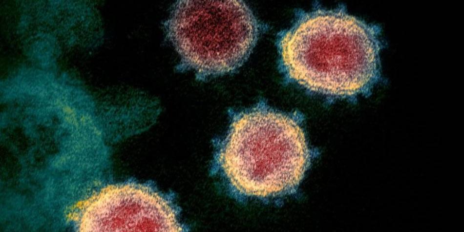 Coronavirus: el misterioso ‘gen dentro del gen’ que descubrieron