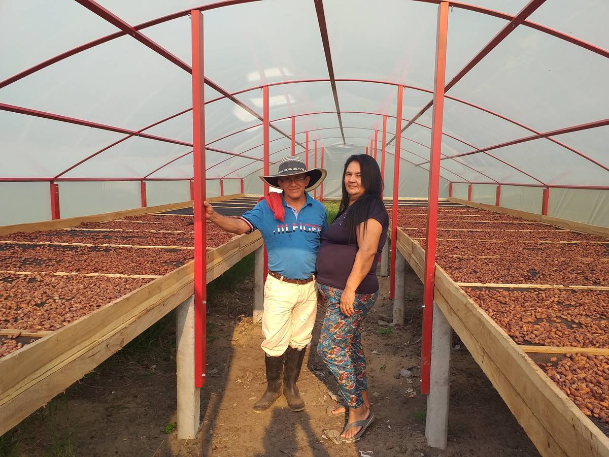 Marquesinas PDET: Un sueño hecho realidad para los cacaocultores de Saravena