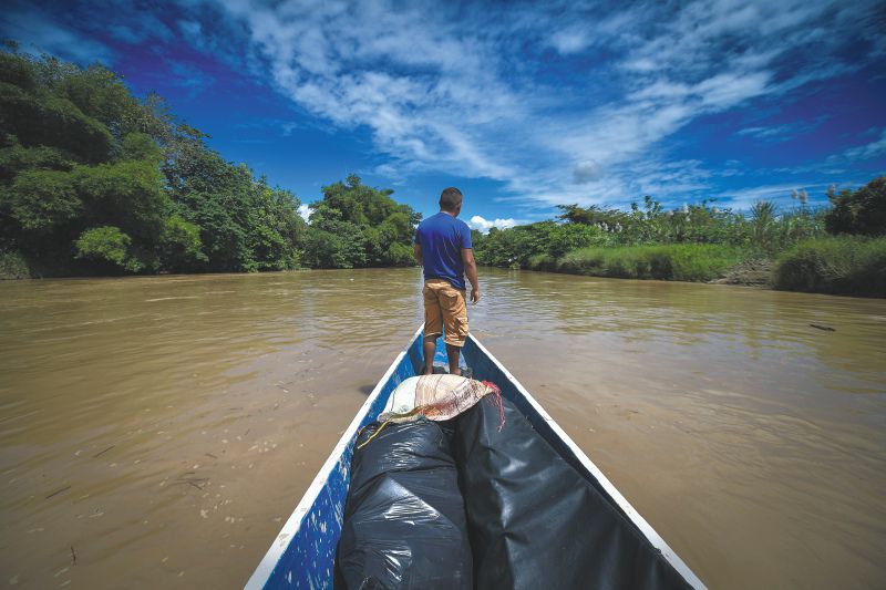 Isla del Charo: reflejo de cómo Arauca se convirtió en potrero