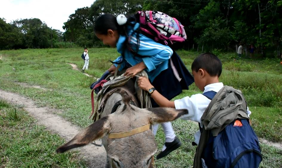Arauca se enfrenta a la deserción escolar, ante la falta de agua e internet.
