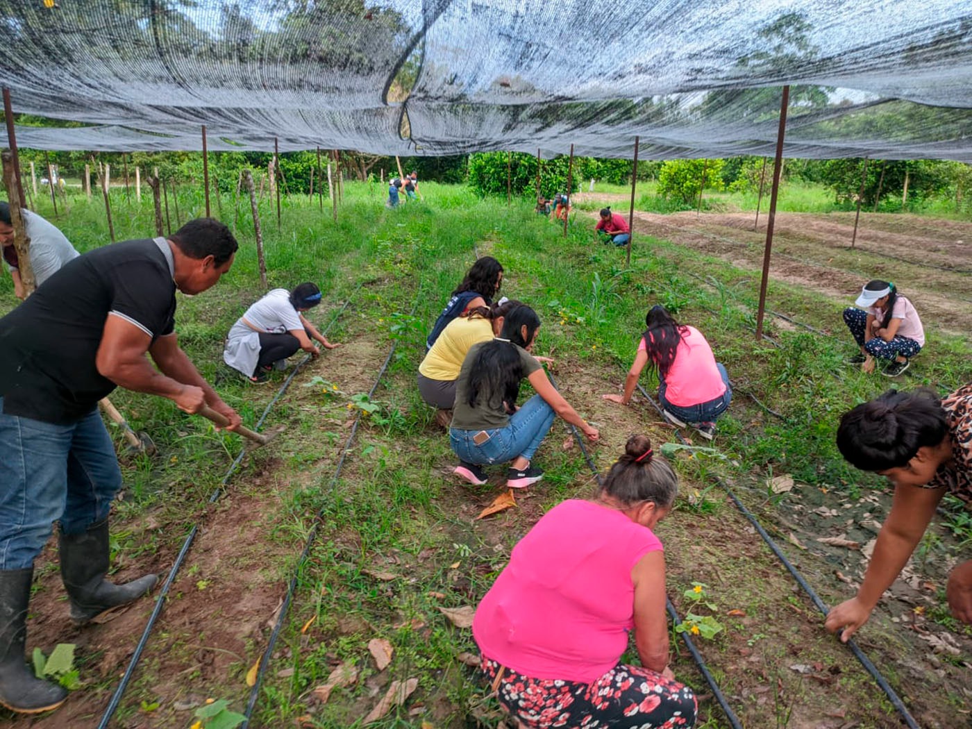 UNAL Sede Orinoquia participa en estrategias contra el hambre en Arauca