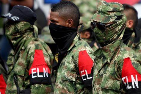 “Cese al fuego debe ser multilateral”, gobernador (e) de Arauca