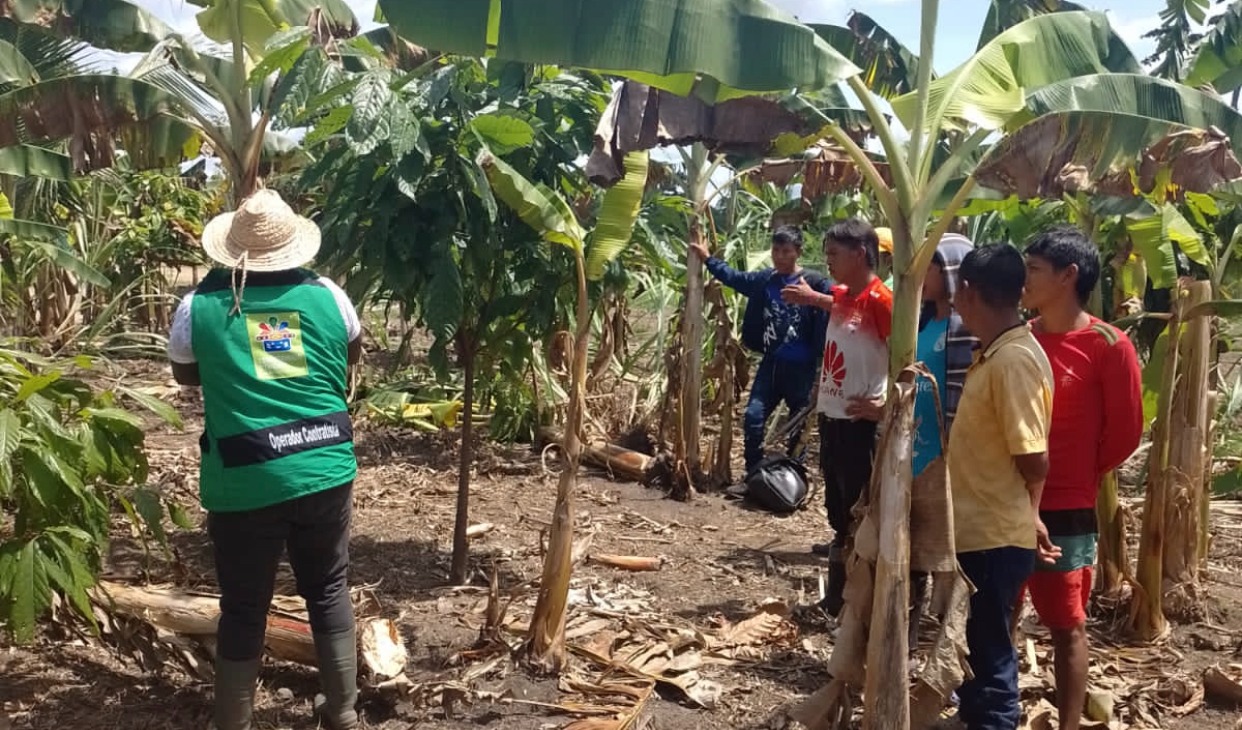 Con huertas comunitarias el ICBF potencia a familias sikuani en Arauca