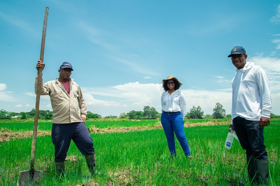 Más de 1.000 iniciativas empresariales con impacto social se han postulado al Premio Emprender Paz