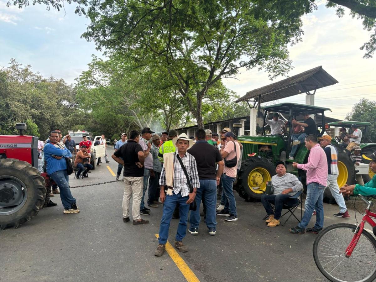 Paro arrocero en Casanare: entre el derecho a protestar y la vulneración de derechos fundamentales