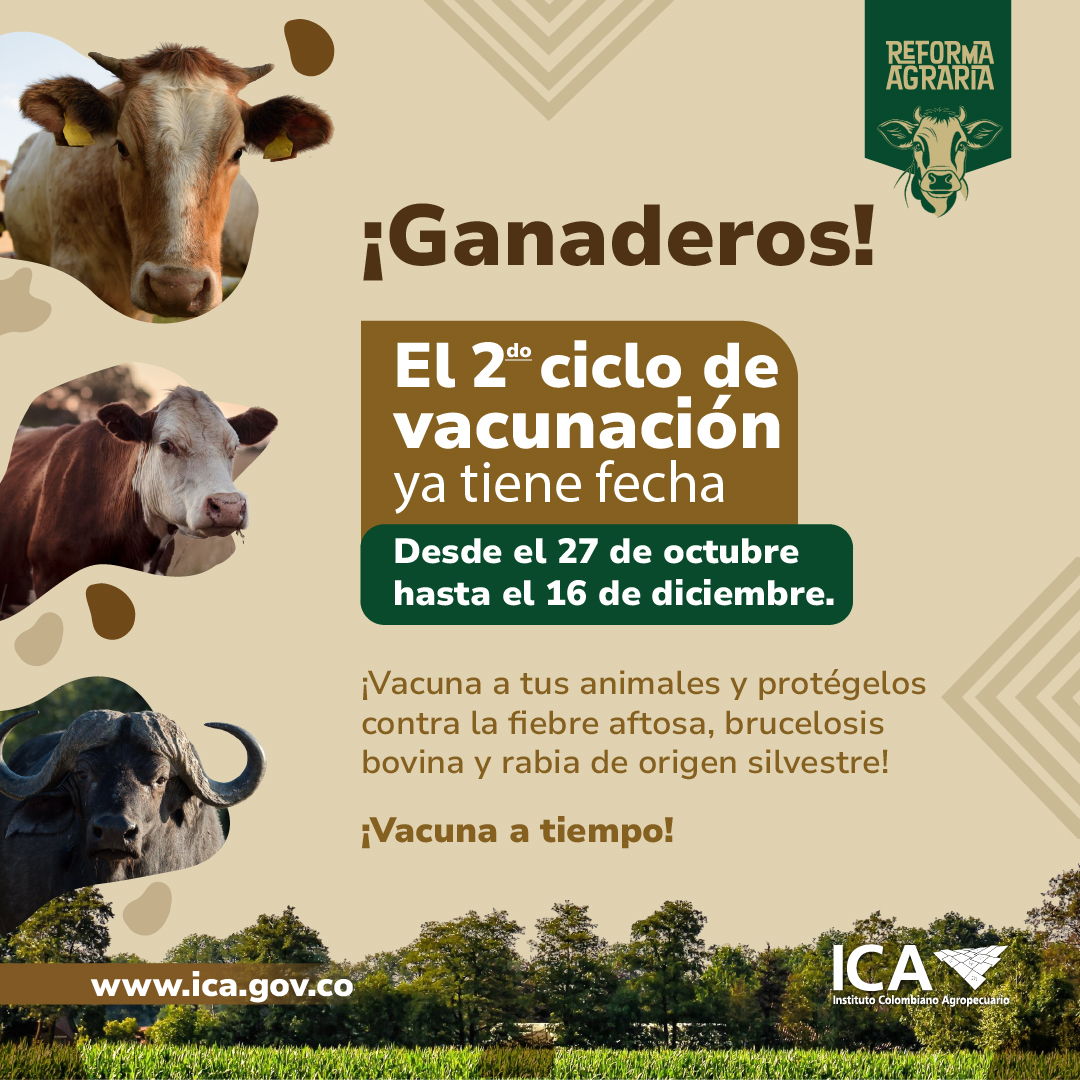 Ya están listas las fechas para el Segundo Ciclo de Vacunación contra fiebre aftosa, brucelosis bovina y rabia de origen silvestre Ya están listas las fechas para el Segundo Ciclo de Vacunación contra fiebre aftosa, brucelosis bovina y rabia de origen silvestre